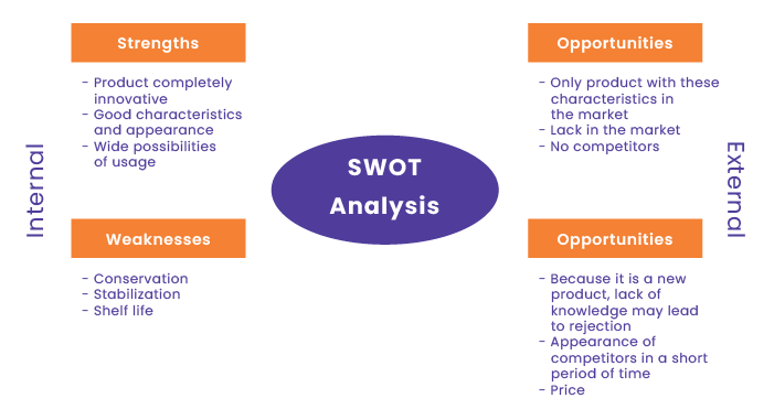 SWOT analysis example