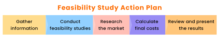 Feasibility Study Action Plan