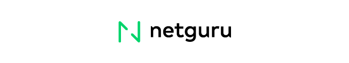 Netguru company logo